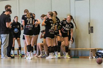 Bild 133 - wBJ SV Henstedt Ulzburg - Bramstedter TS : Ergebnis: 27:15